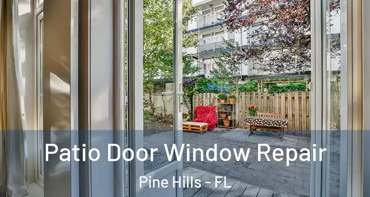 Patio Door Window Repair Pine Hills - FL