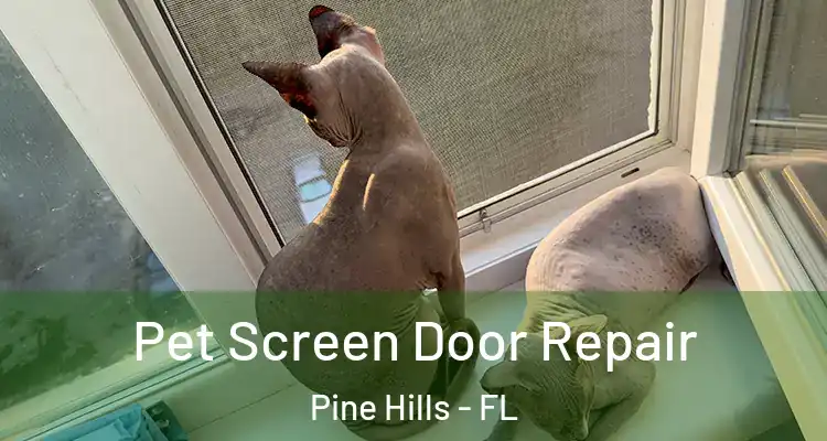 Pet Screen Door Repair Pine Hills - FL