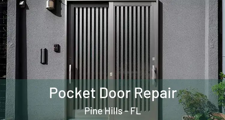 Pocket Door Repair Pine Hills - FL