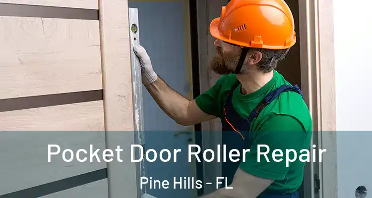 Pocket Door Roller Repair Pine Hills - FL