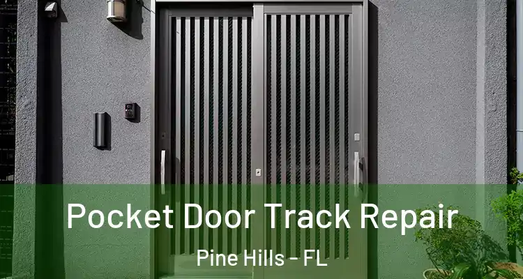 Pocket Door Track Repair Pine Hills - FL