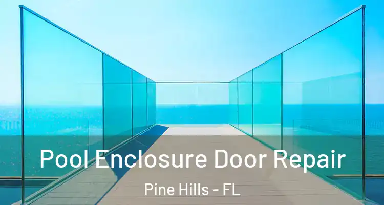 Pool Enclosure Door Repair Pine Hills - FL