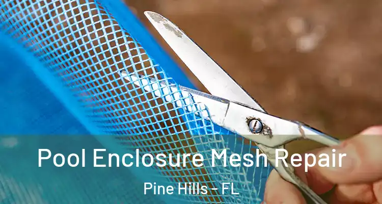 Pool Enclosure Mesh Repair Pine Hills - FL