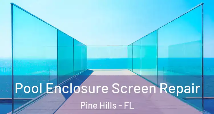 Pool Enclosure Screen Repair Pine Hills - FL
