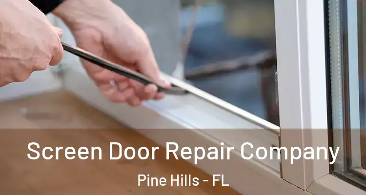 Screen Door Repair Company Pine Hills - FL