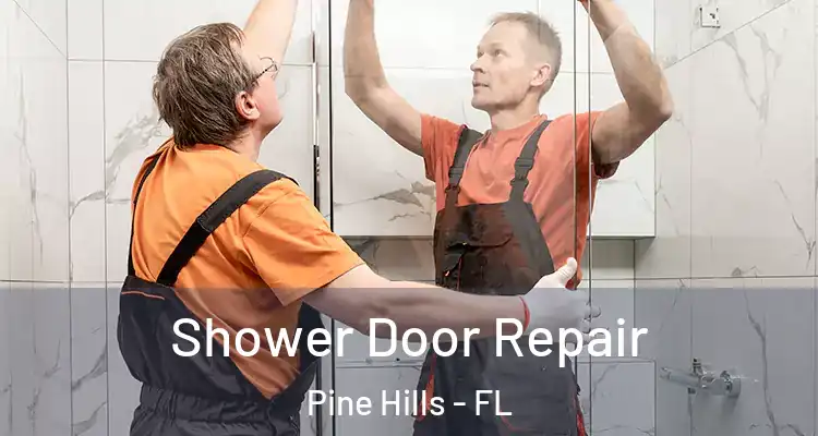 Shower Door Repair Pine Hills - FL