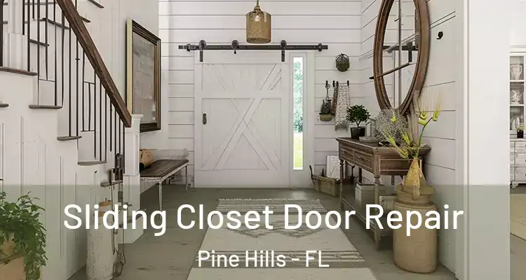 Sliding Closet Door Repair Pine Hills - FL