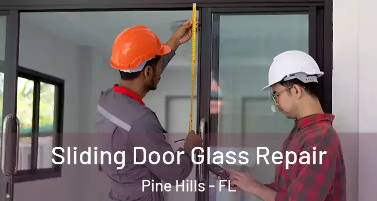 Sliding Door Glass Repair Pine Hills - FL