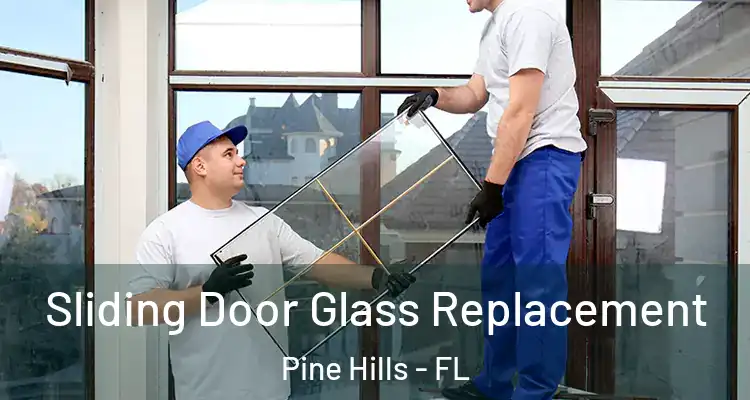 Sliding Door Glass Replacement Pine Hills - FL