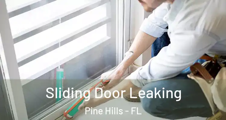 Sliding Door Leaking Pine Hills - FL