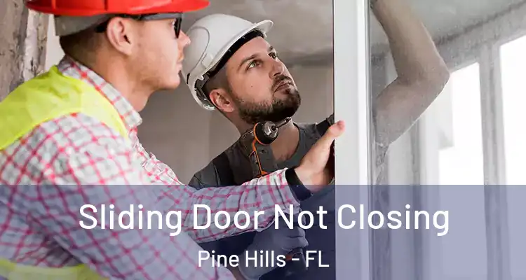 Sliding Door Not Closing Pine Hills - FL