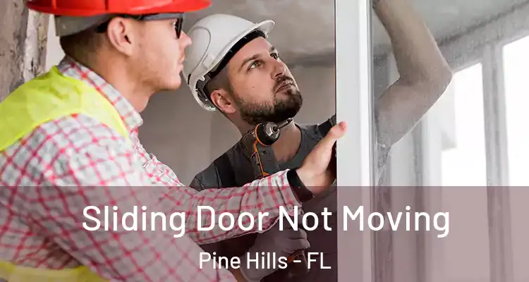 Sliding Door Not Moving Pine Hills - FL