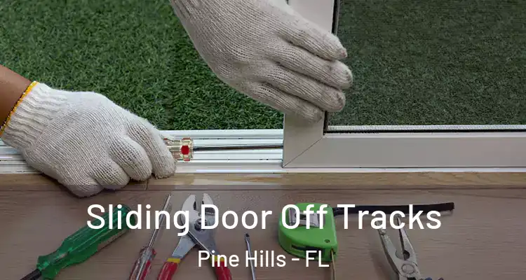 Sliding Door Off Tracks Pine Hills - FL