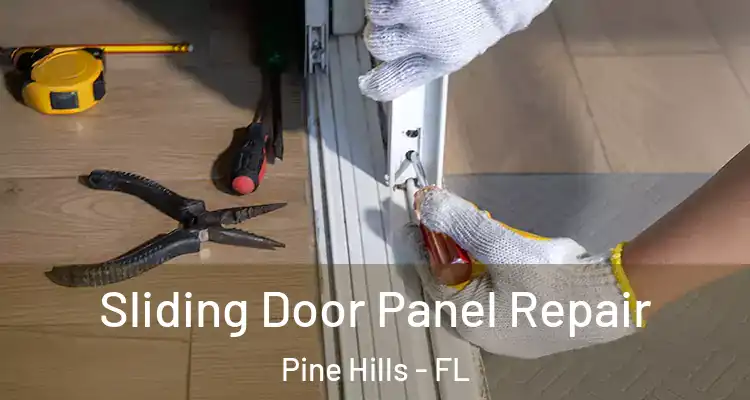 Sliding Door Panel Repair Pine Hills - FL