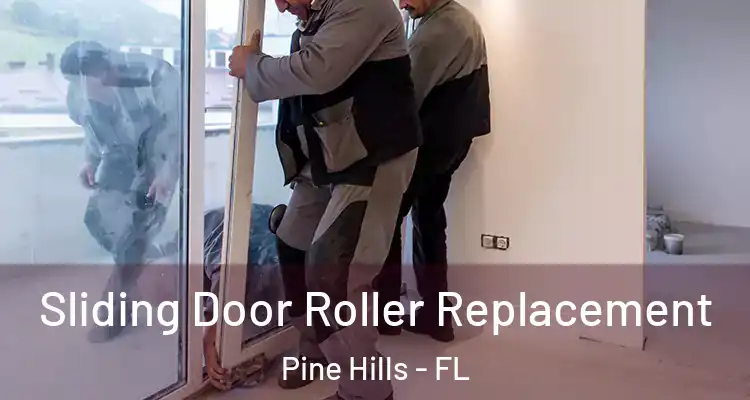 Sliding Door Roller Replacement Pine Hills - FL
