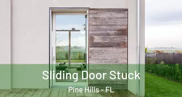 Sliding Door Stuck Pine Hills - FL