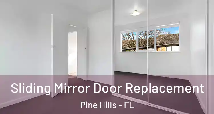 Sliding Mirror Door Replacement Pine Hills - FL