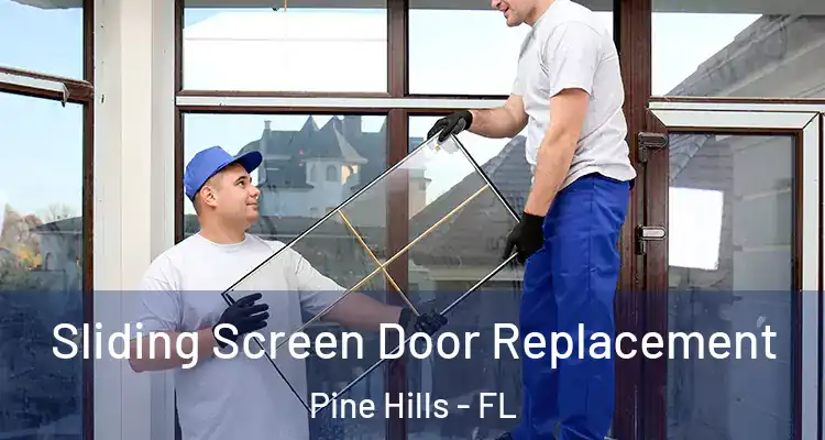 Sliding Screen Door Replacement Pine Hills - FL