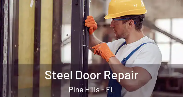 Steel Door Repair Pine Hills - FL