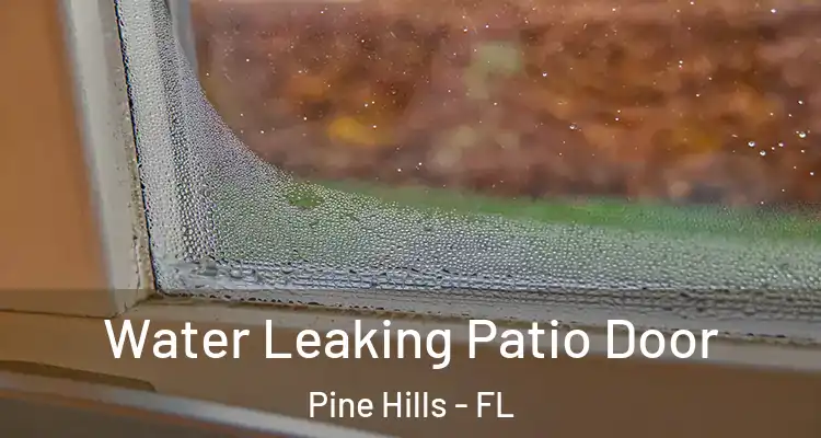 Water Leaking Patio Door Pine Hills - FL