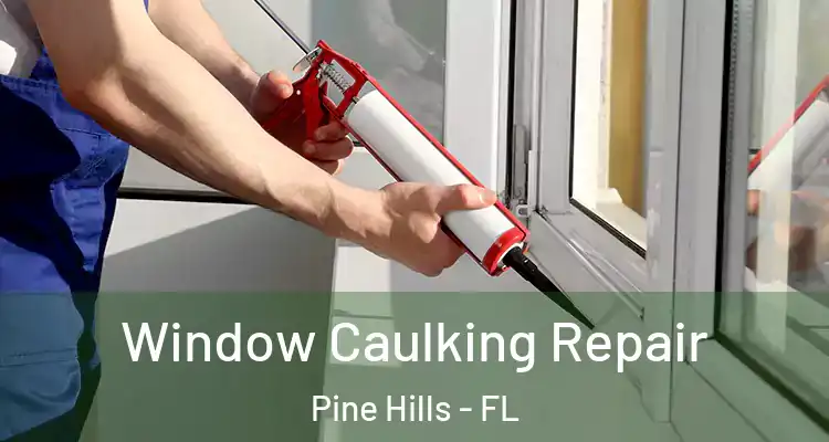 Window Caulking Repair Pine Hills - FL