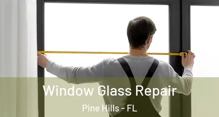 Window Glass Repair Pine Hills - FL