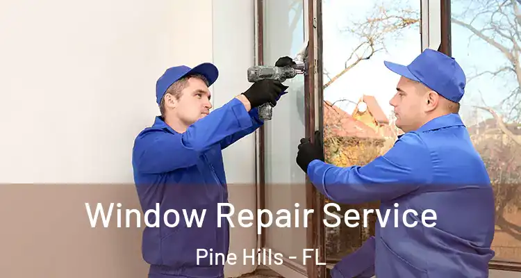 Window Repair Service Pine Hills - FL