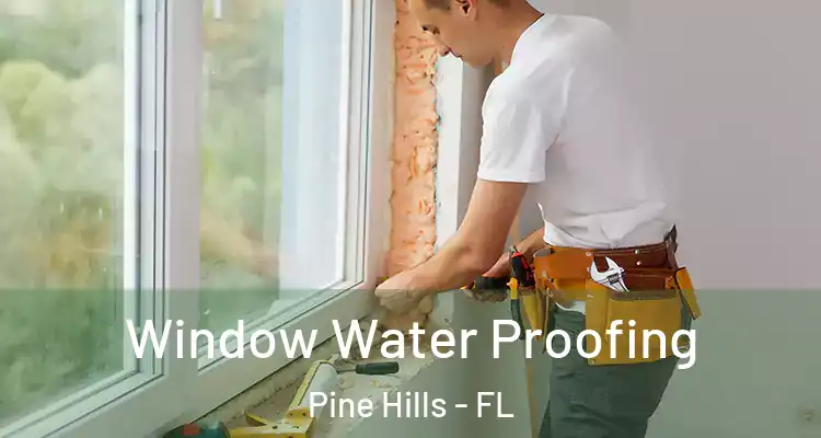 Window Water Proofing Pine Hills - FL