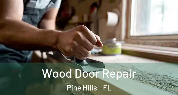 Wood Door Repair Pine Hills - FL